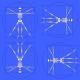 1283 - Vitruvian Man French Blue