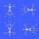 1283 - Vitruvian Man French Blue