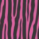 #4547 - Pink Zebra