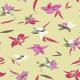 #41509 – Orchids