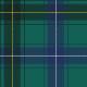1307 - Tartan