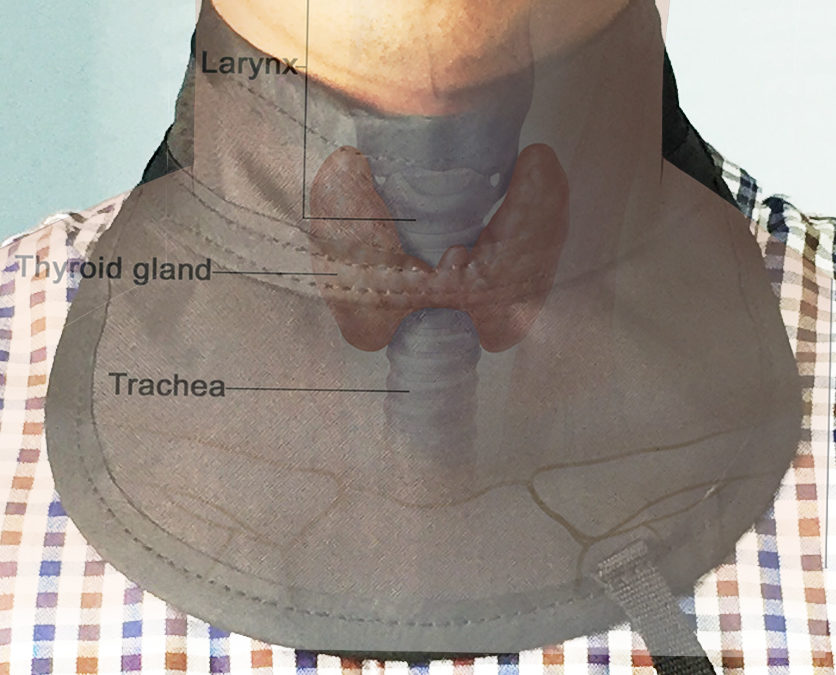Is Your Thyroid Shield Protecting You?