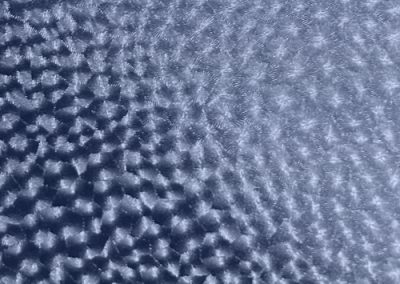 Fabrics - Diamond Feather - 900 Blue Diamond Feather