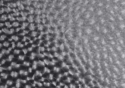 Fabrics - Diamond Feather - 902 Black Diamond Feather