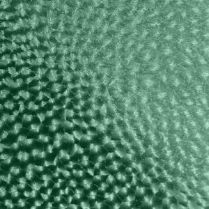 Fabrics - Diamond Feather - 903 Green Diamond Feather