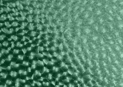 Fabrics - Diamond Feather - 903 Green Diamond Feather