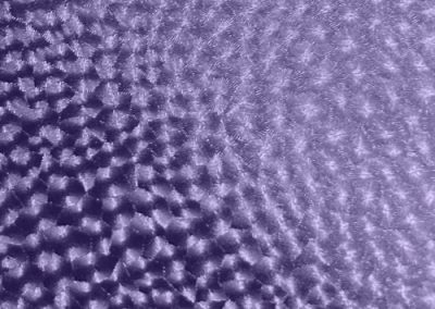 Fabrics - Diamond Feather - 905 Purple Diamond Feather
