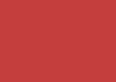 Fabrics - Dartex - 572 Dartex Performance Red