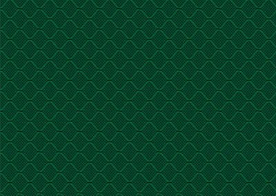Fabrics - Ripstop - 508 Ripstop Kelly Green