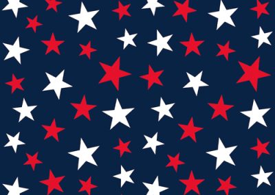 Fabrics - Fashion Patterns - 1267 Stars Navy Dark