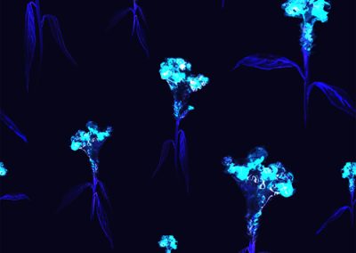 Fabrics - Fashion Patterns - 1278 Xray Blue Wildflower