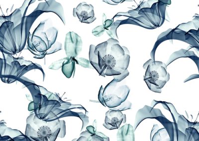 Fabrics - Fashion Patterns - 1280 Xray Lily Blooms