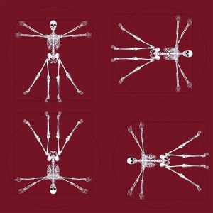 Fabrics - Fashion Patterns - 1282 Vitruvian Man Maroon