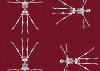 Fabrics - Fashion Patterns - 1282 Vitruvian Man Maroon