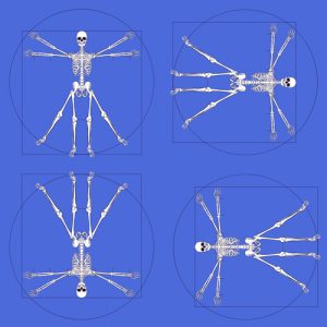 Fabrics - Fashion Patterns - 1283 Vitruvian Man French Blue