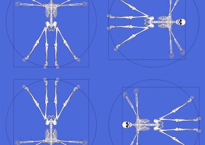 Fabrics - Fashion Patterns - 1283 Vitruvian Man French Blue